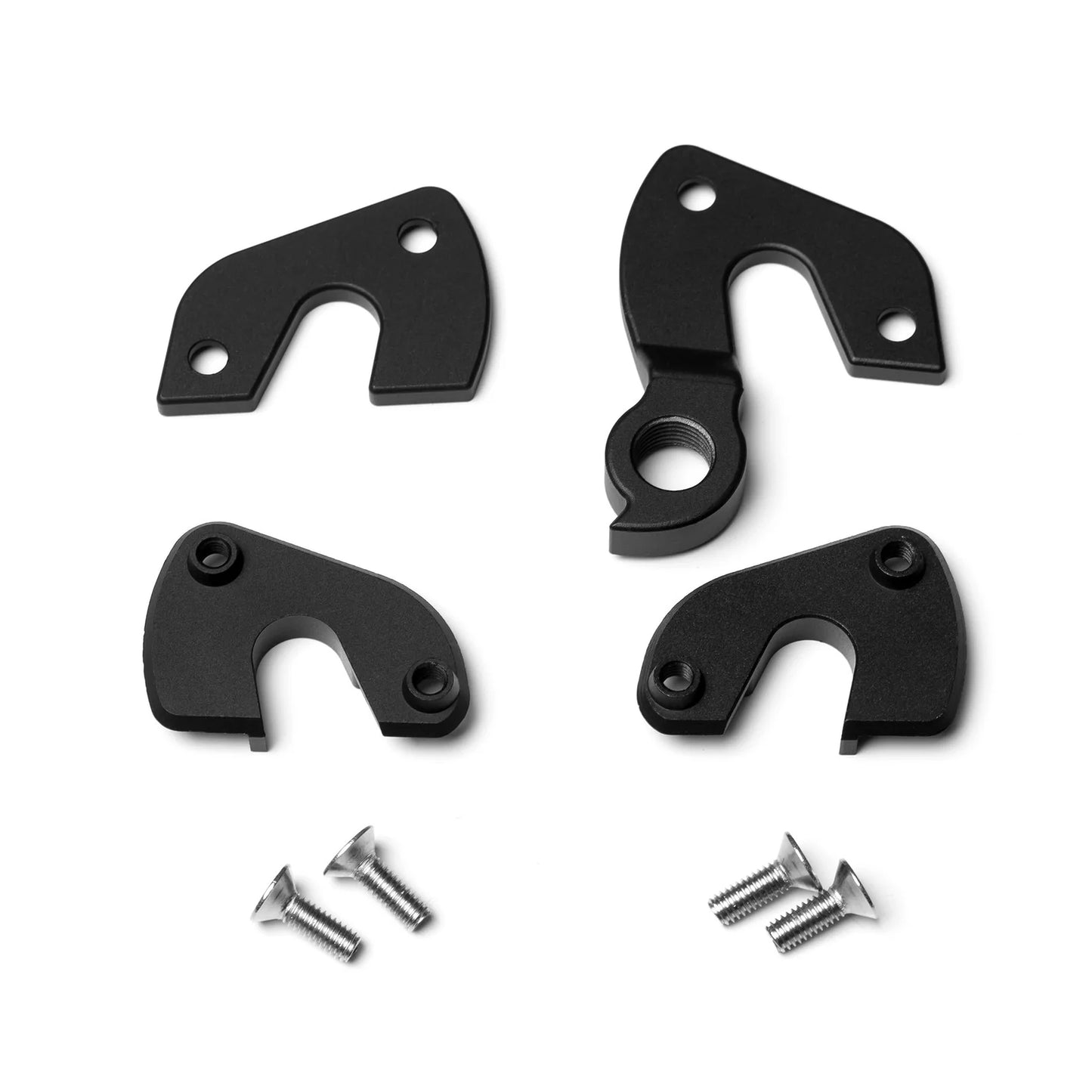 Chebacco/Altum Disc Rear Dropout Assembly