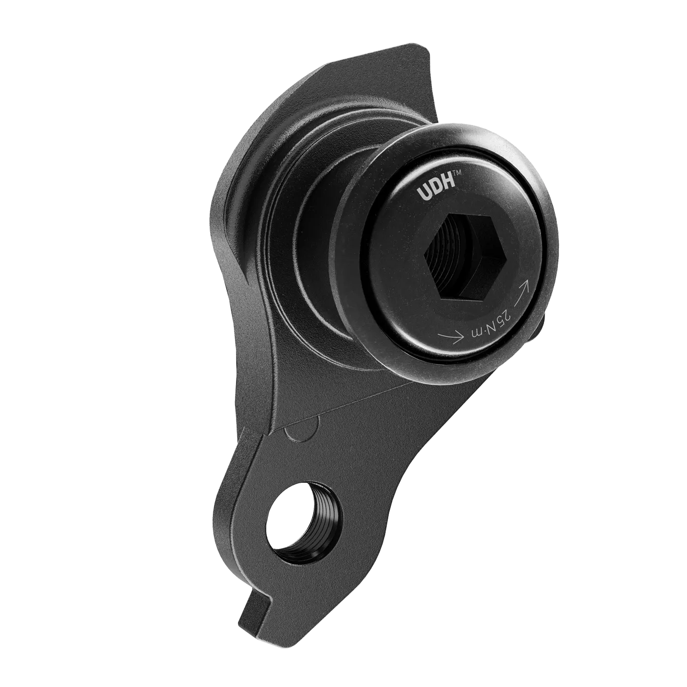 UDH (Universal Derailleur Hanger)